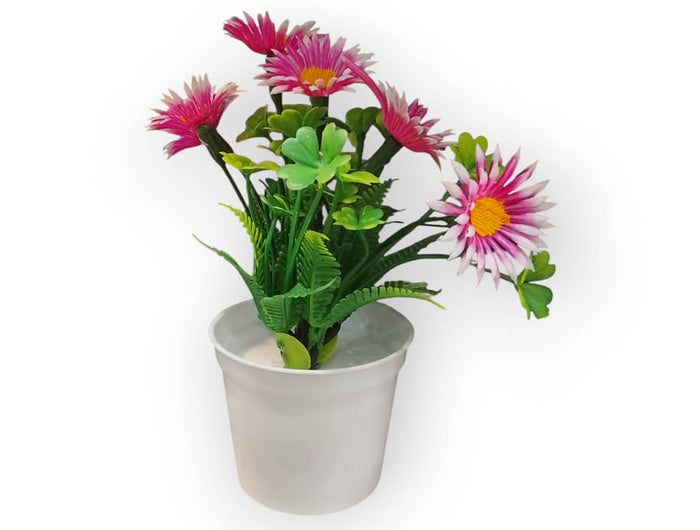 <h1>Home Decors</h1>